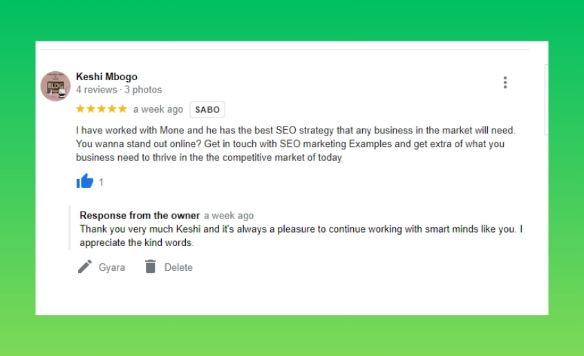 SEO Marketing Examples Review